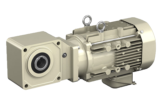 RNYM-1