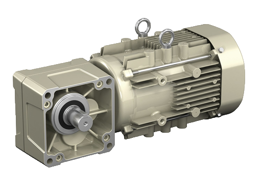 RNFM-1