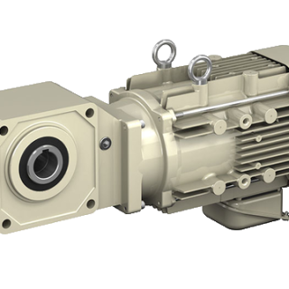 RNYM-1