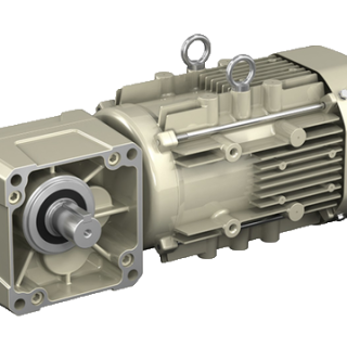 RNFM-1