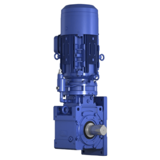 LHUM-1