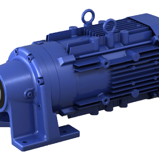CHHM-1